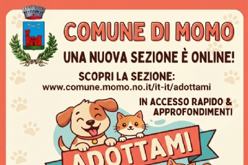 Nuova sezione "ADOTTAMI": un gesto d'amore per i nostri amici a quattro zampe
